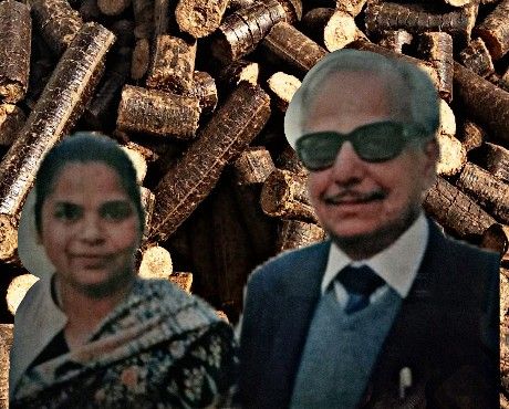 Biomass Briquettes 02