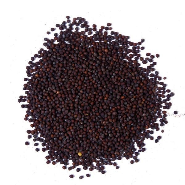 Black Mustard Seeds 02