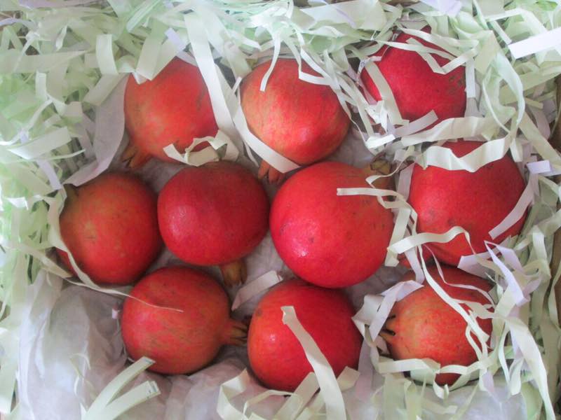 Pomegranates Packing