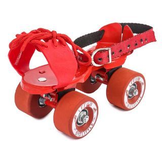 Big Roller Skate 01