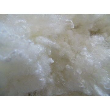 Quilt Fiber 02