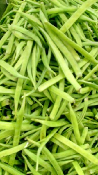Fresh Cluster Beans 02