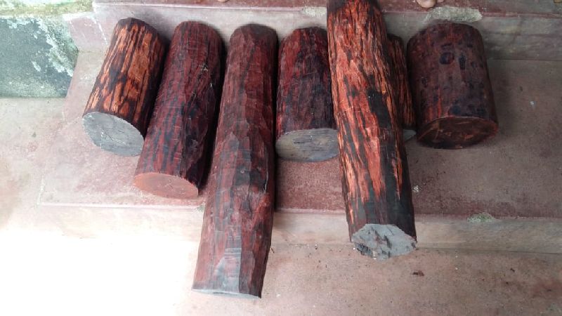Red Sandalwood 02