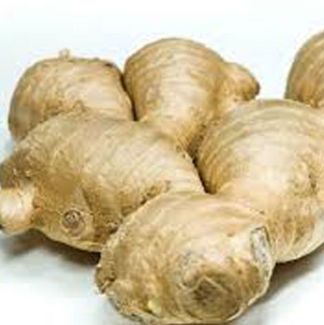 DRIED GINGER