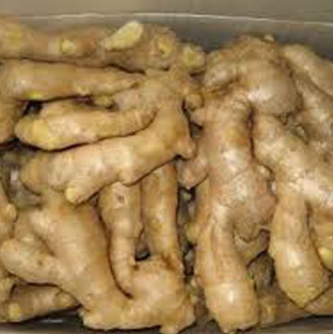 DRIED GINGER