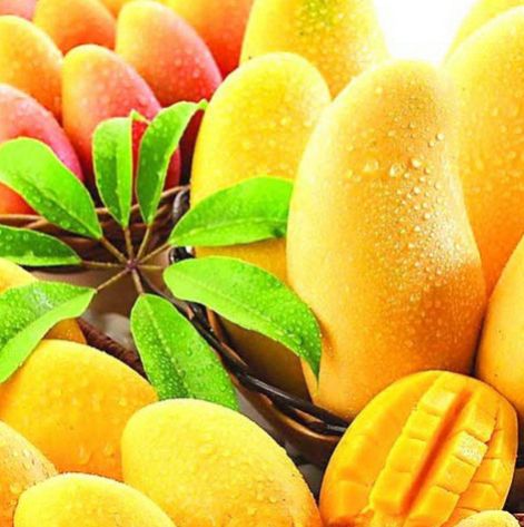 Mango Pulp