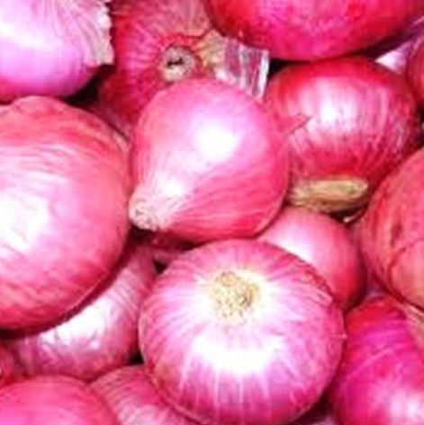 Onion