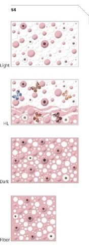 300x450mm Glossy Series Wall Tiles (54)