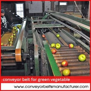 Conveyor Belt for Green Vegetable Processing