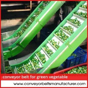 Conveyor Belt for Green Vegetable Processing