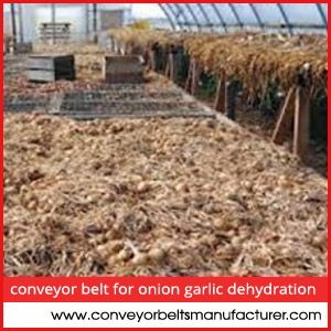 Conveyor Belt for Onion Garlic dehydration