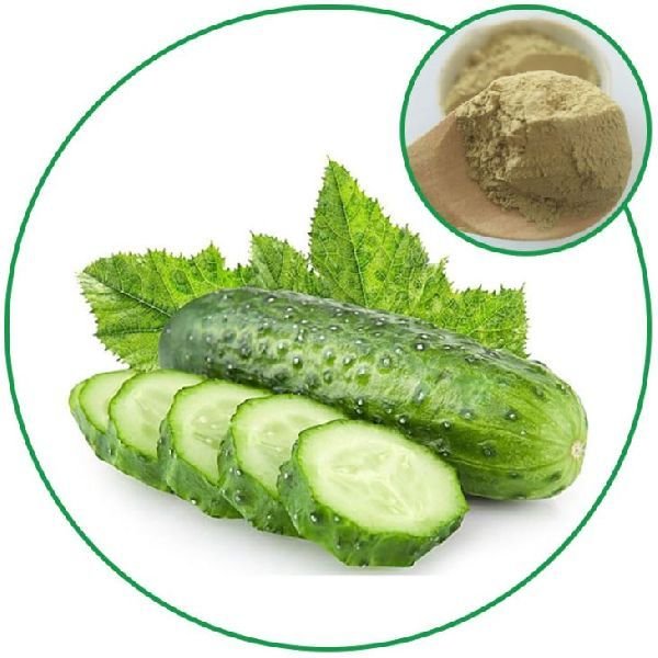 Cucumber Powder