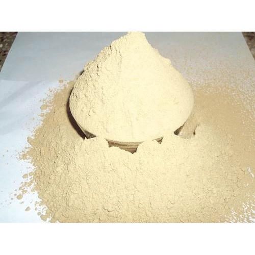 Giloy Powder