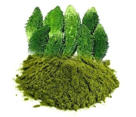 Karela Powder