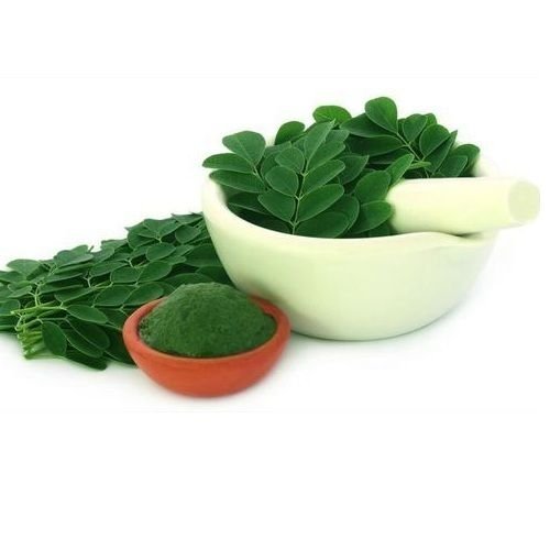 Moringa Leaves Powder