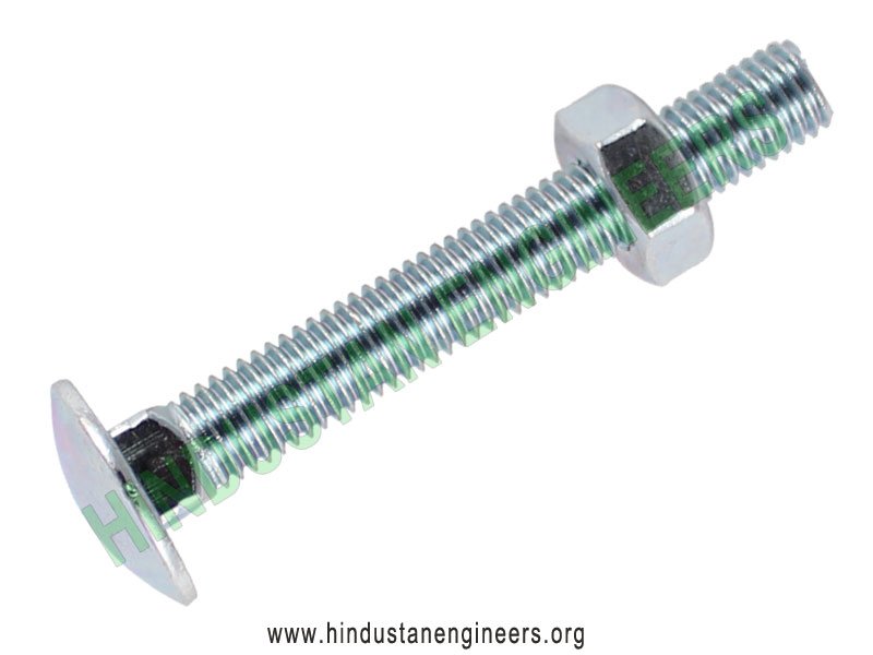 Carriage Bolt with Nut 01