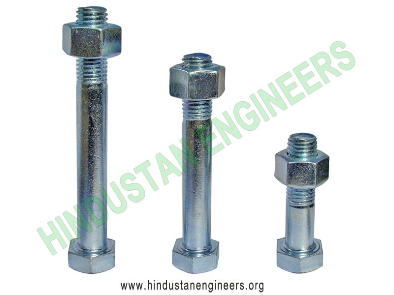 Carriage Bolt with Nut 04