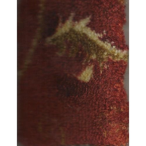 MRG-001 Marigold Carpet