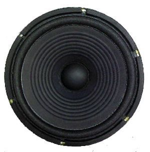 10 Inch Multimedia Speakers
