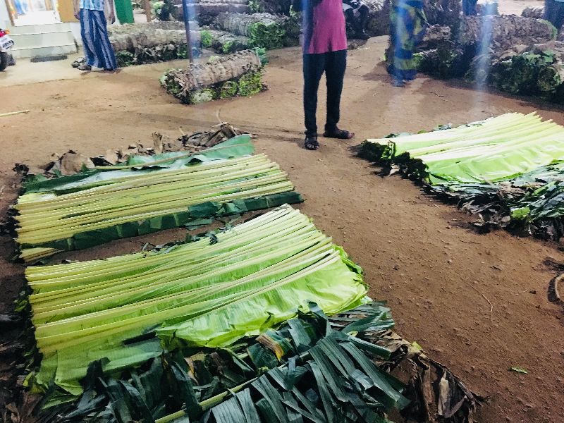 Organic Banana Leaf 04