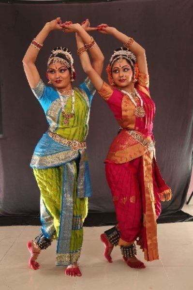 Bharatanatyam Dance Costume 15