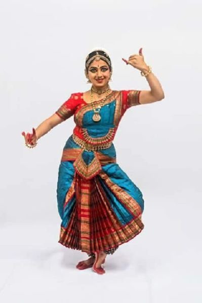 Bharatanatyam Dance Costume 16