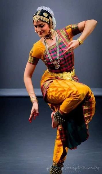 Bharatanatyam Dance Costume 17