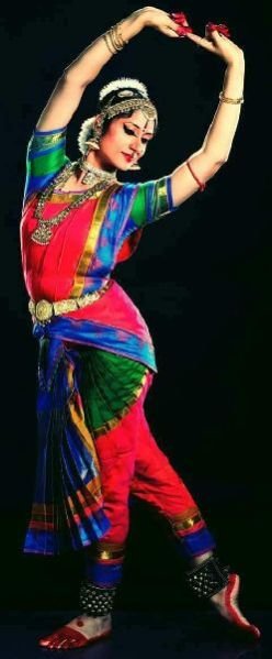 Bharatanatyam Dance Costume 20