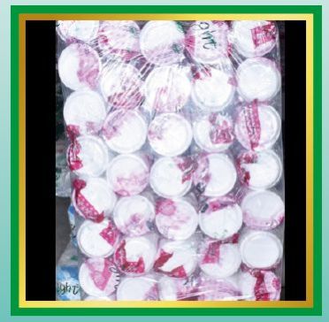 Mini Disposable Plates 03