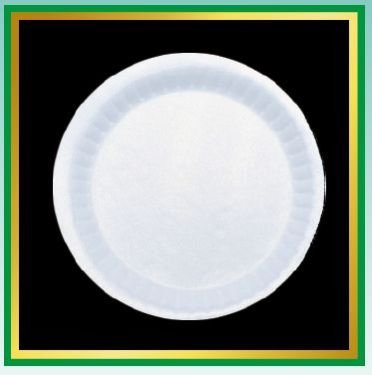 Mini Quarter Disposable Plates 01