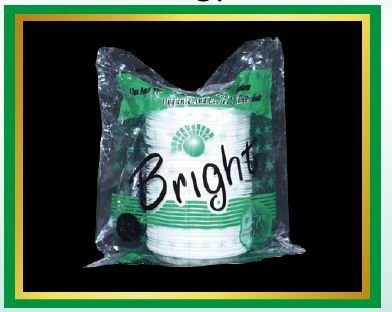 Mini Quarter Disposable Plates 02