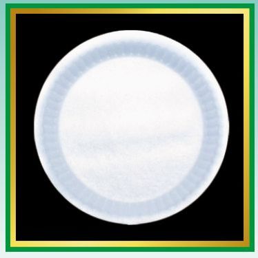 Quarter Disposable Plates 01