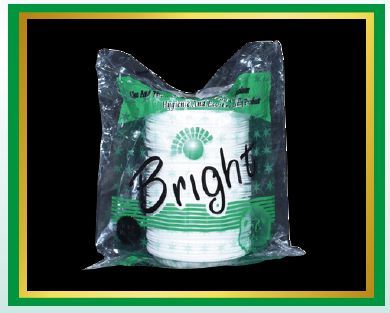 Quarter Disposable Plates 02