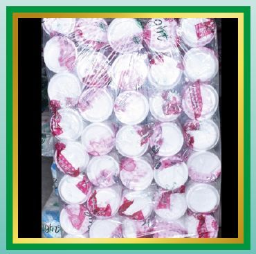 Quarter Disposable Plates 03