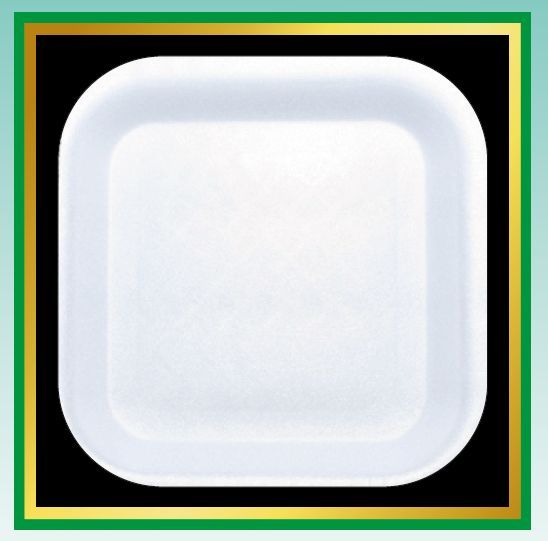 Square Disposable Plates 01