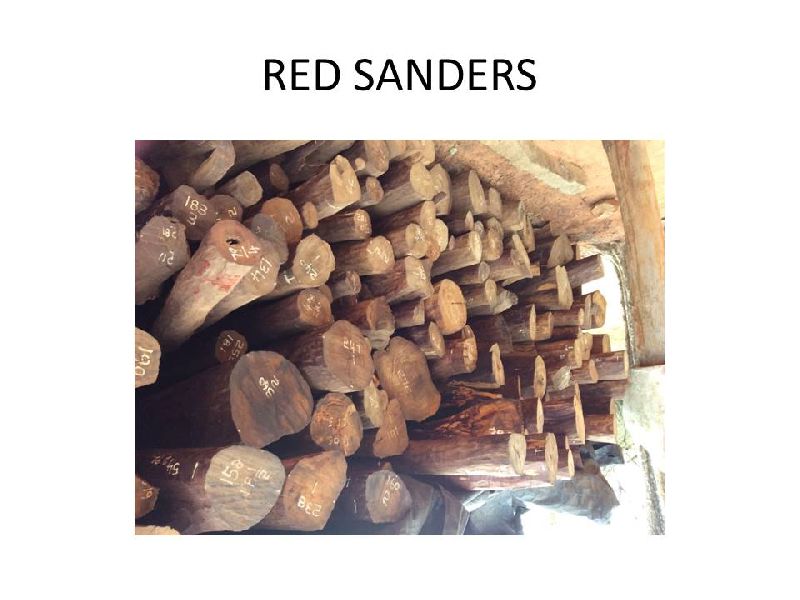 Red Sandalwood 05