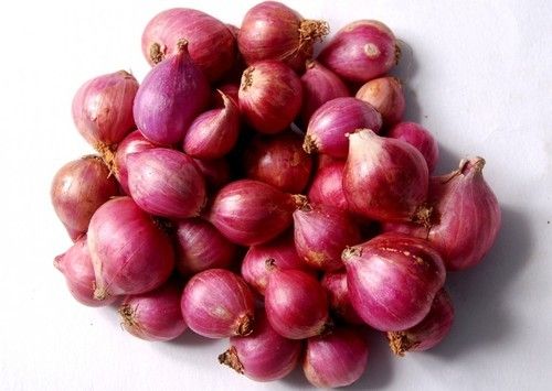 Red Onion 02
