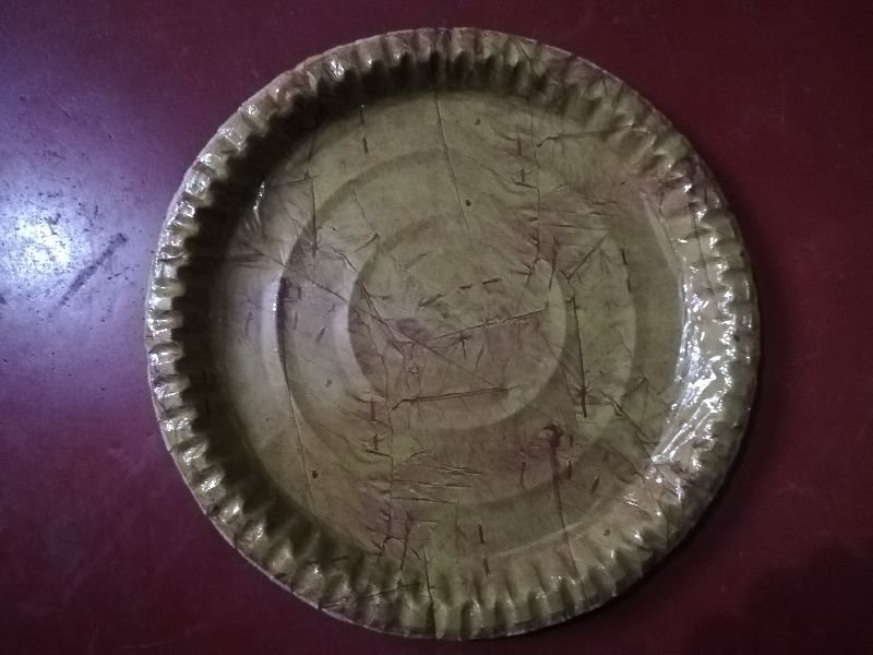 Disposable Paper Plates 04