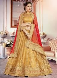 Embroidered Lehenga Choli 01