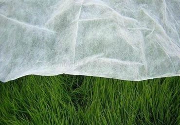 Non woven Fabric (10GSM to 250GSM)