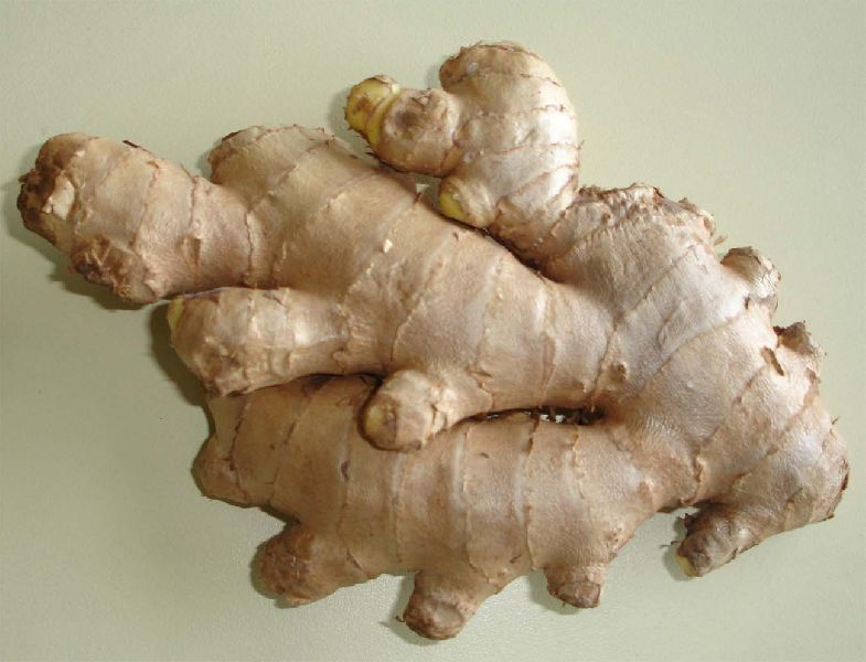 Fresh Ginger (Low Fiber)