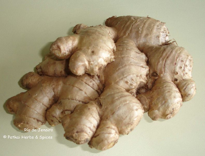 Fresh Ginger (High Fiber)