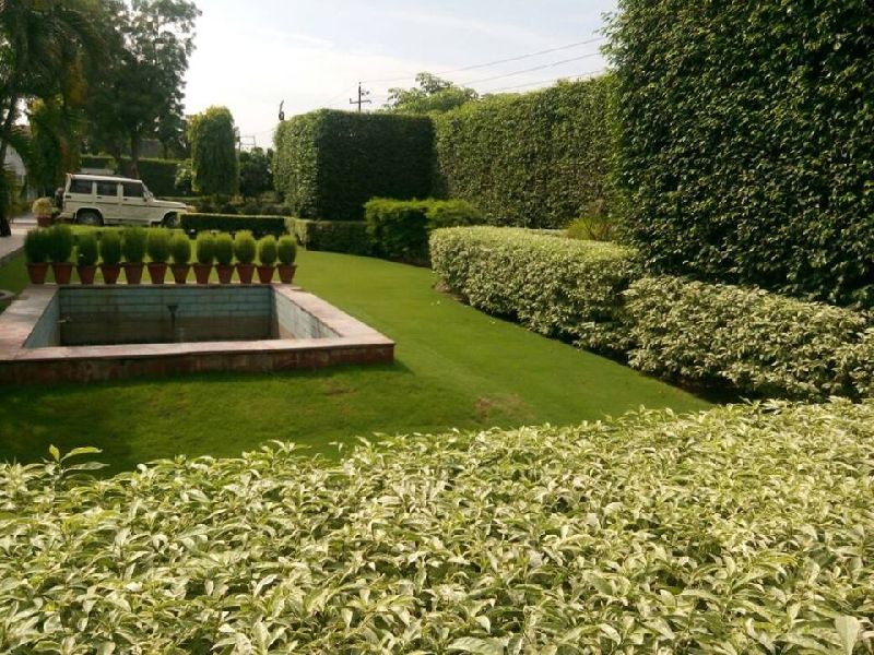 Horticulture Services 01