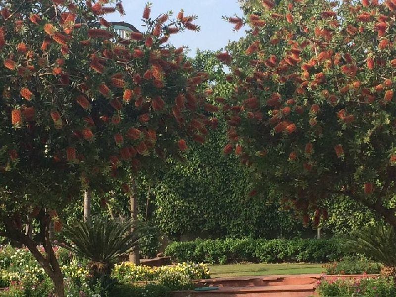 Horticulture Services 02