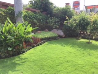 Horticulture Services 03