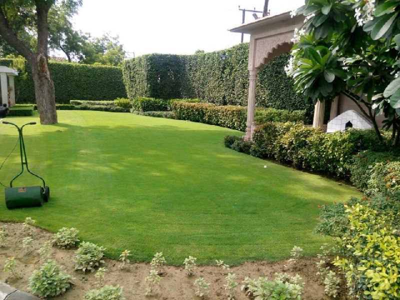 Horticulture Services 04