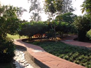 Landscape Development Service 06