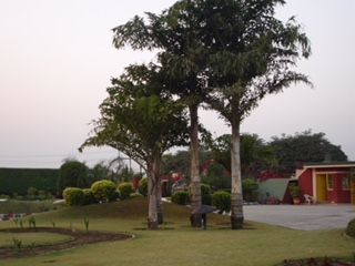 Landscape Development Service 07