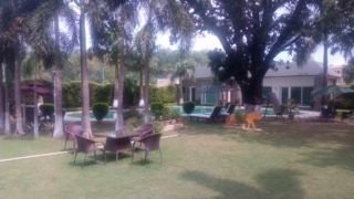 Landscape Development Service 08