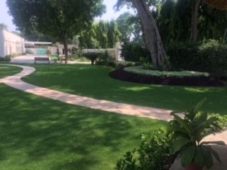 Landscape Development Service 09